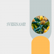 Plakato aut. Aida Vėželienė